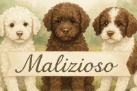logga med tre hundar på och kennelnamnet Malizioso